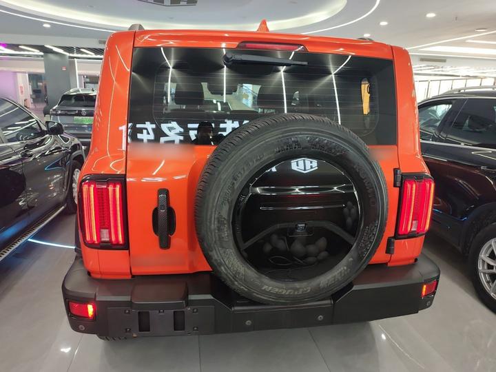300 2021 Off-road 2.0T Conqueror photo 3