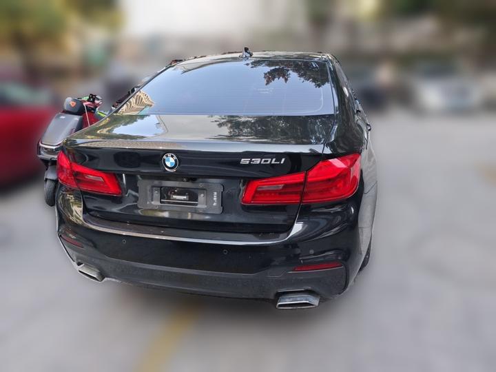5 Series 2019 530Li Leading M Sport Package photo 5