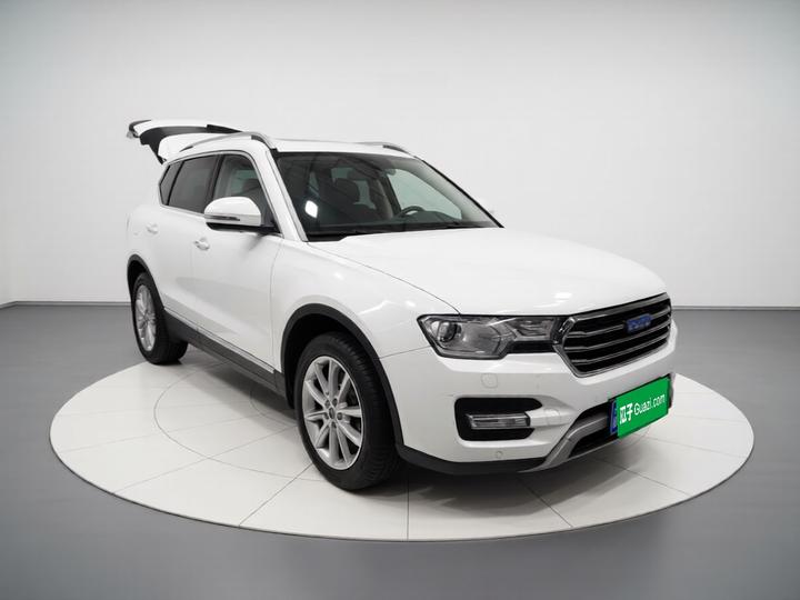 H7 2016 Blue Label H7 2.0T AT Luxury photo 3