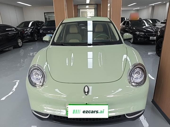 Good Cat 2022 400km Standard Range Luxury LFP photo 2