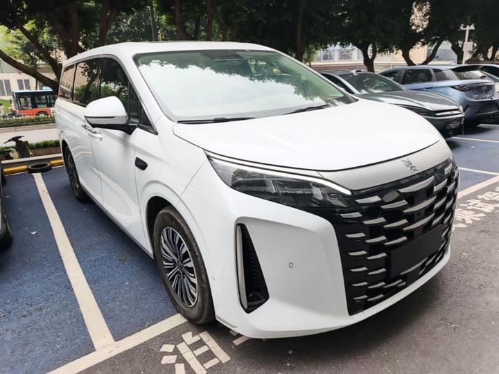 2025 DM-i 1.5T 180km photo 3