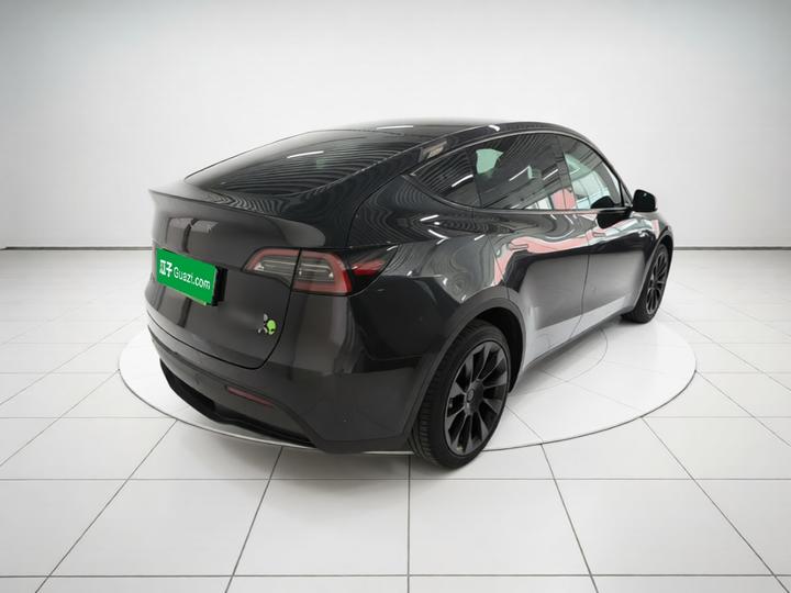 Model Y 2024 Long Range AWD photo 6