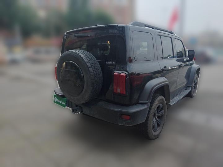 300 2023 Off-road 2.0T photo 4