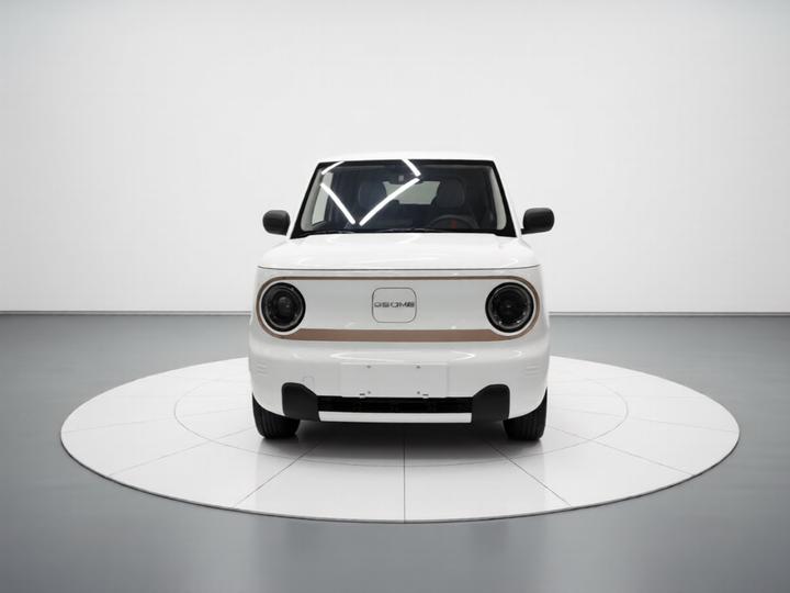 2024 Panda mini 200km Endurance Bear photo 2