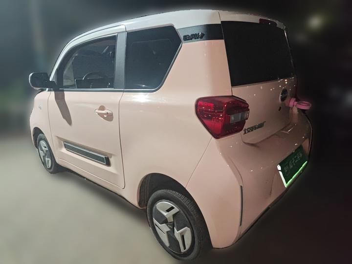 BAW Yuan 2022 photo 4