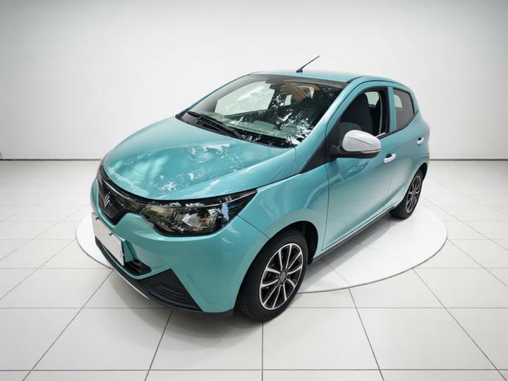 EV EV2 2023 201km Comfort