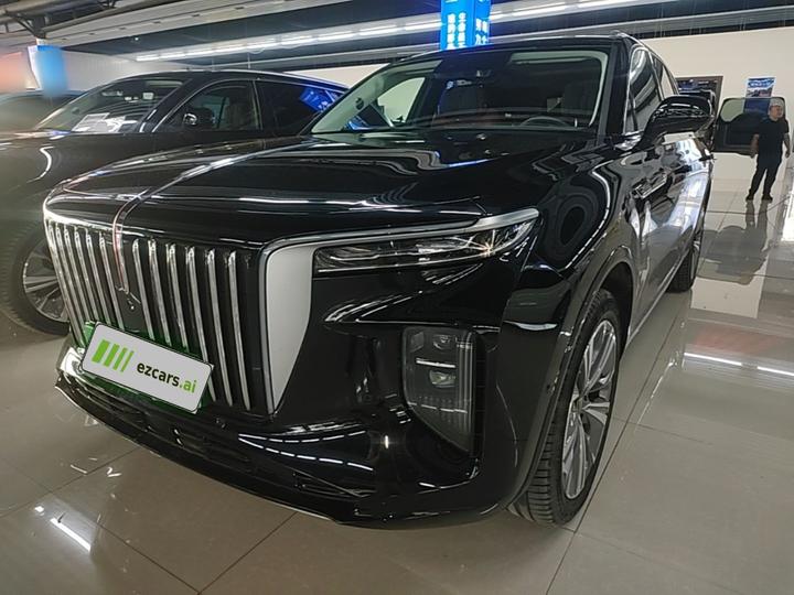 E-HS9 2021 460km 6-Seater
