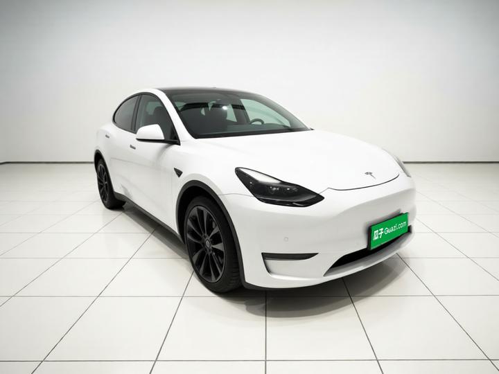 Model Y 2021 Long Range AWD photo 3