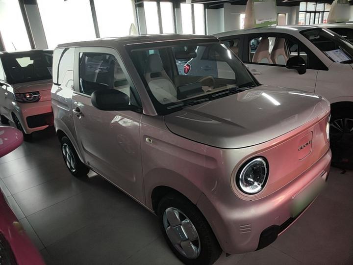 2024 Panda mini 200km Endurance Bear photo 3