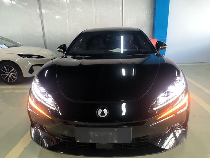 Z9GT 2024 1100 AWD Max photo 2