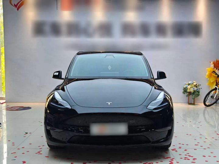 Model Y 2022 Long Range AWD photo 6