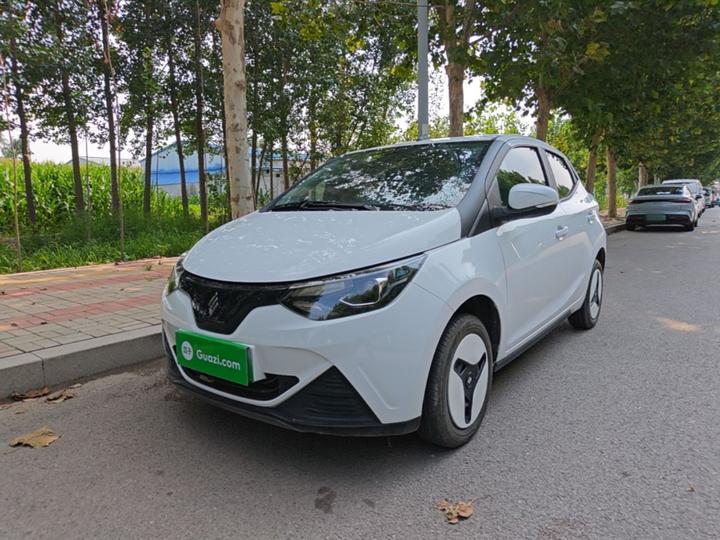 EV EV2 2024 201km Comfort
