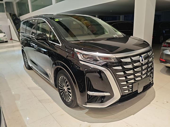 D9 2024 DM-i 980 AWD Noble photo 3