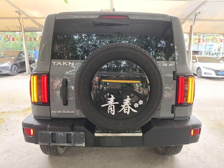 300 2021 Off-road 2.0T Conqueror photo 3