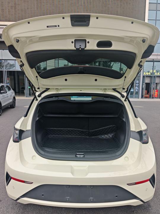 Dolphin 2025 ADAS 410km Fashion photo 8