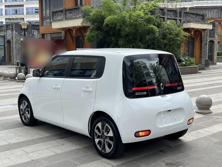 2022 Upgraded 305km Luxury NCM photo 4