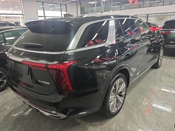 E-HS9 2021 460km 6-Seater photo 4