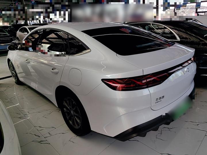 Qin L 2024 DM-i 80KM Leading photo 4