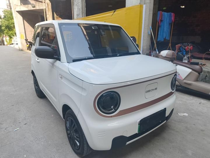 2024 Panda mini 200km Endurance Bear photo 3