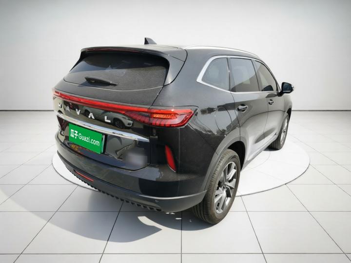 H6 EV 2023 DHT-PHEV 110KM photo 6