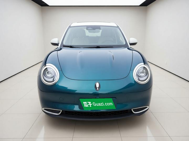 Good Cat 2021 400km Standard Range LFP photo 2