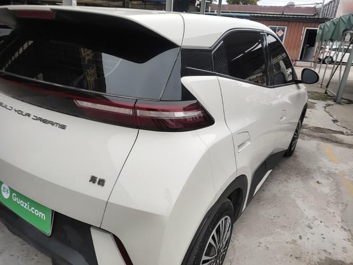 Seagull 2024 Honor 305km photo 7