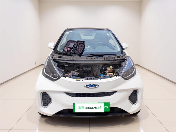 QQ Little Ant 2021 15 LFP photo 2