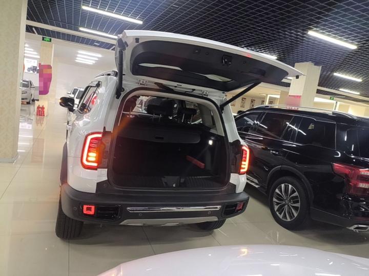 Dargo 2021 2.0T DCT AWD Zhonghua photo 8