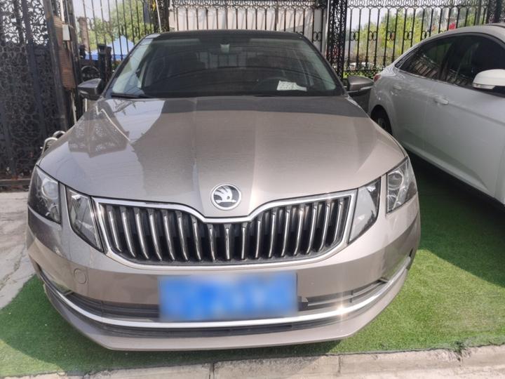Octavia 2019 TSI230 DSG Luxury China V photo 2
