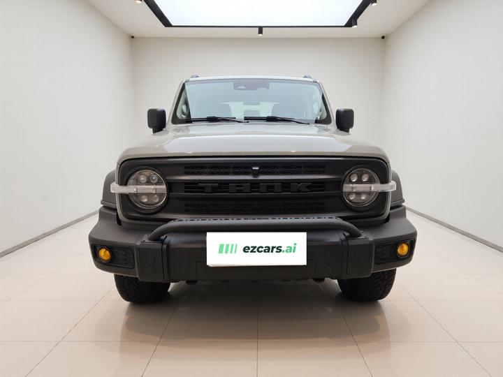 300 2021 Off-road 2.0T Conqueror photo 2