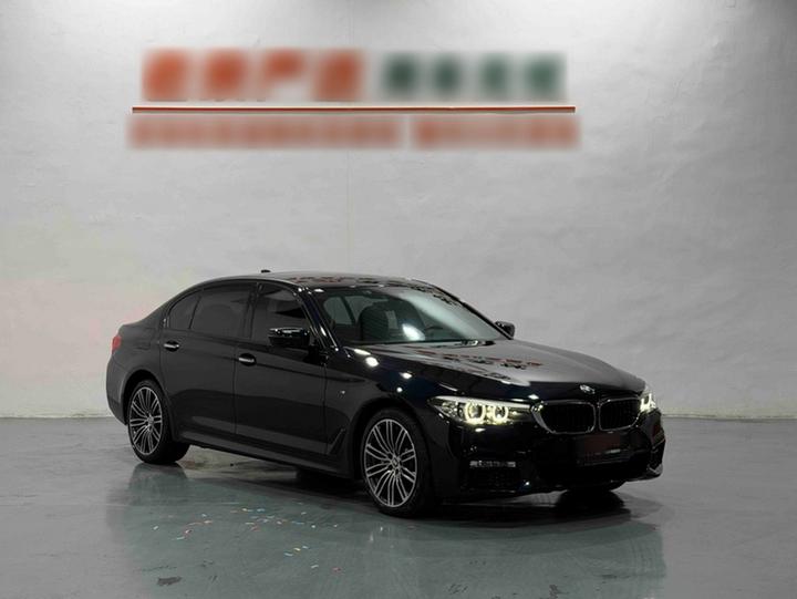 5 Series 2018 530Li Leading M Sport Package photo 3