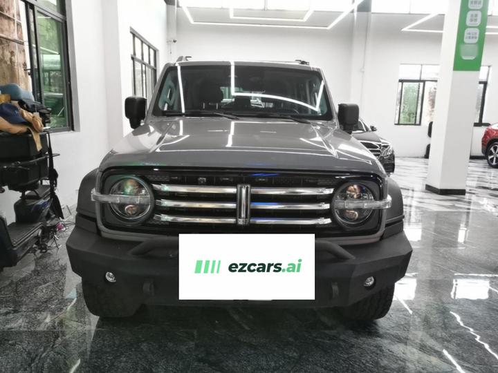 300 2021 Off-road 2.0T Conqueror photo 2