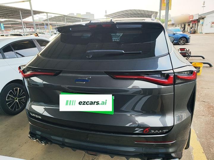 Z6 2023 1.5T DCT photo 5
