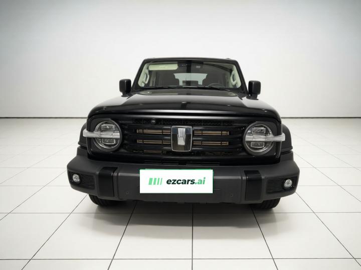 300 2024 2.0T Conqueror photo 2