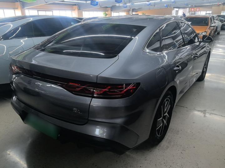 Qin L 2024 DM-i 80KM photo 4