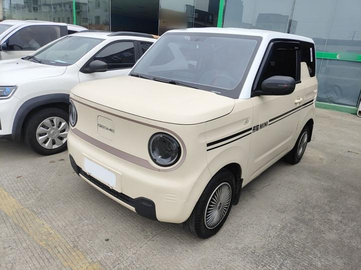2023 Panda mini 200km Endurance Bear