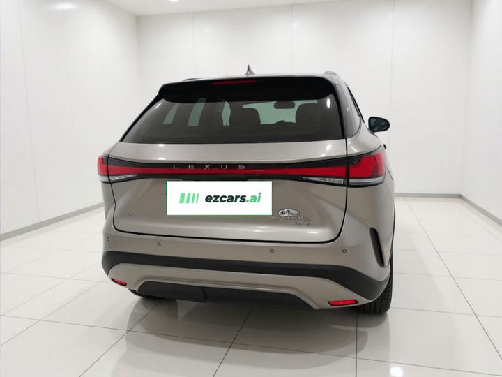 RX EV 2023 450h+ AWD Enjoy photo 5