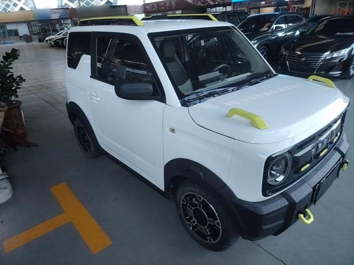 2024 200km Panda photo 3