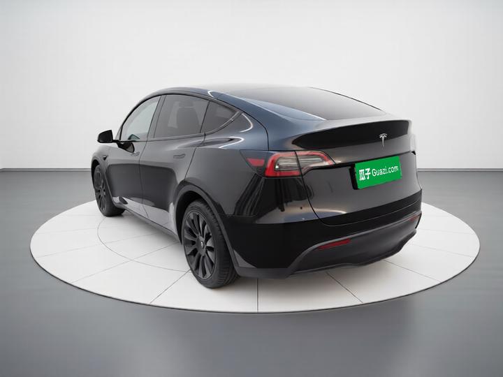 Model Y 2024 Long Range AWD photo 4
