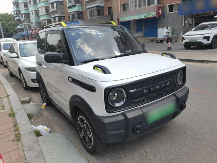 2025 210km Panda photo 3
