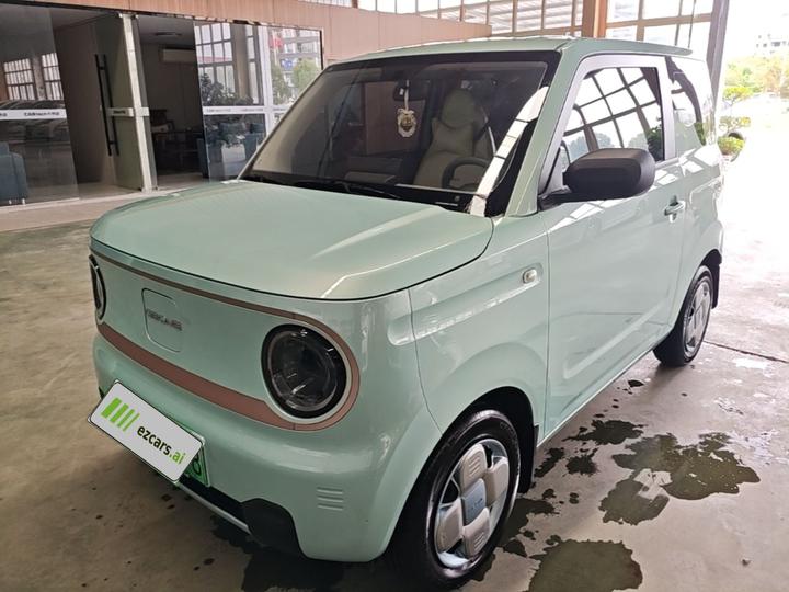 2024 Panda mini 200km Endurance Bear
