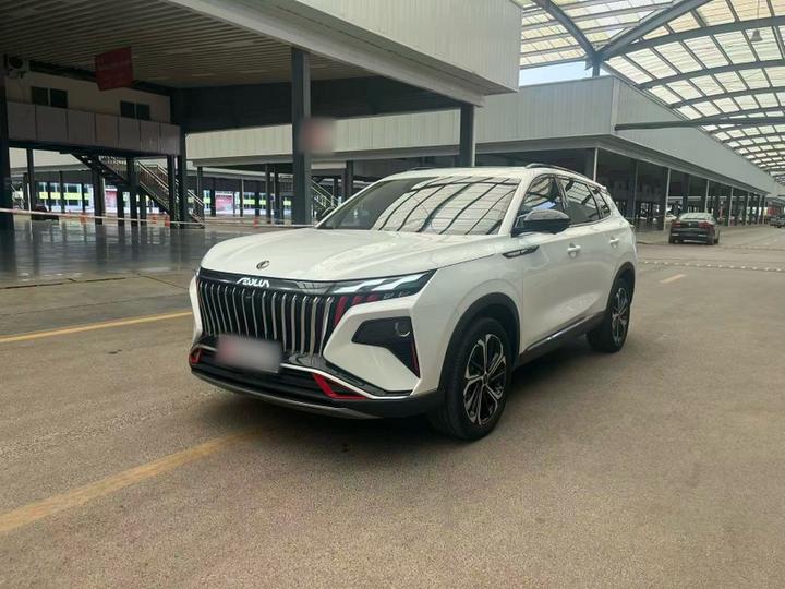 2024 Power 1.5T Premium