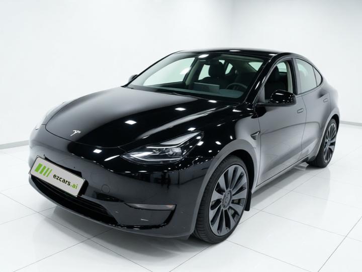Model Y 2021 Performance AWD