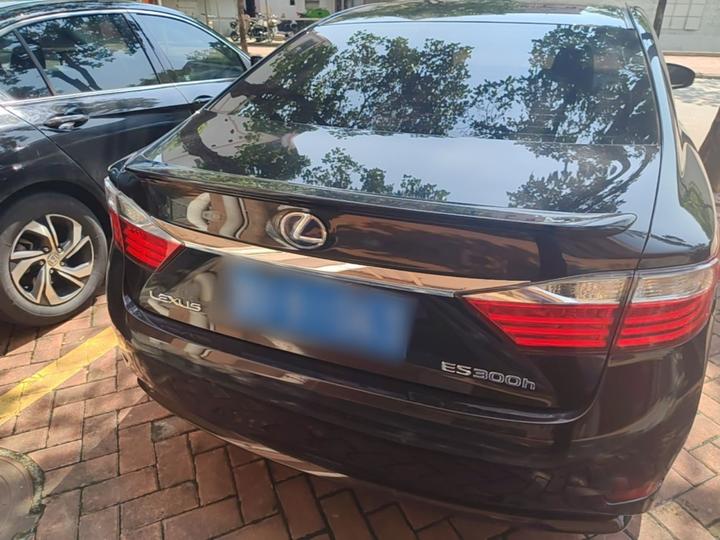 ES 2014 300h Elite photo 3