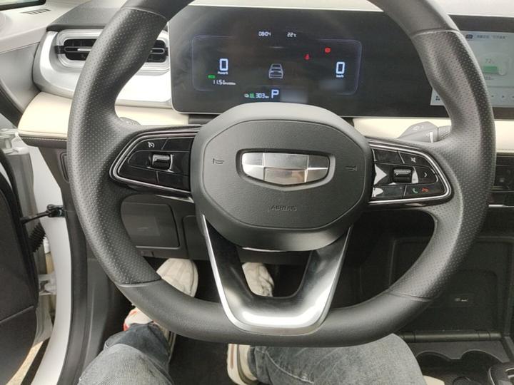 E Firefly 2022 401KM 4-Seater photo 6