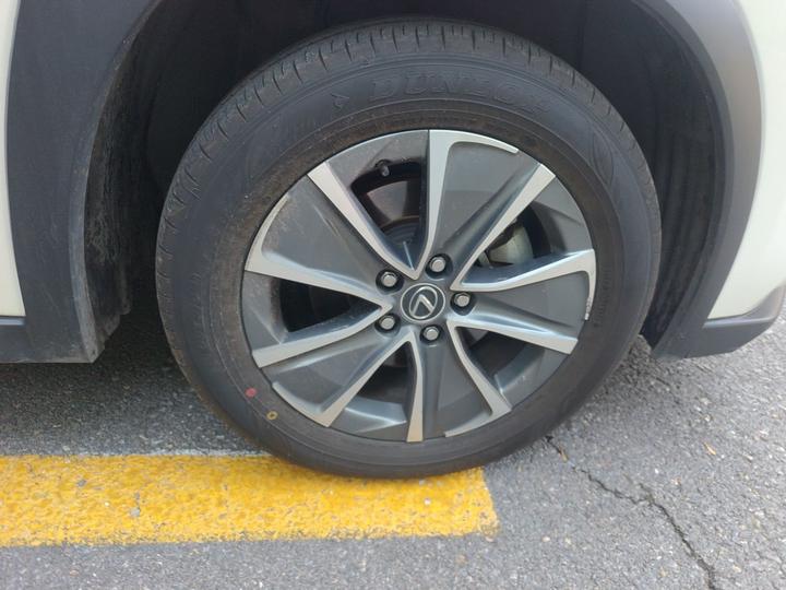 UX EV 2020 300e photo 8