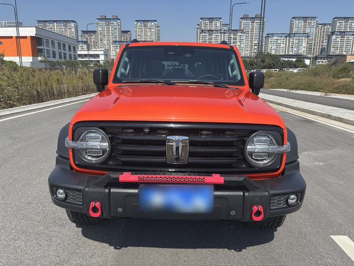 300 2023 Off-road 2.0T Conqueror photo 2