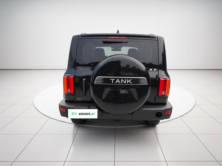 300 2021 Off-road 2.0T Conqueror photo 5