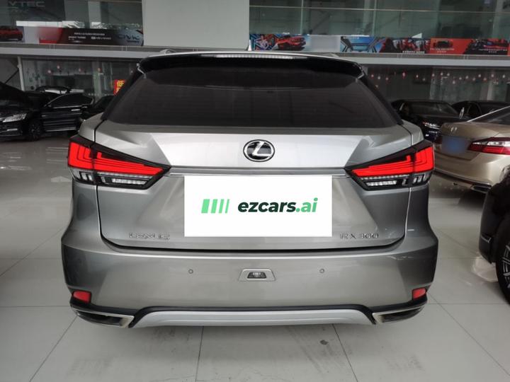 RX 2020 Facelift 300 RWD Elite photo 3