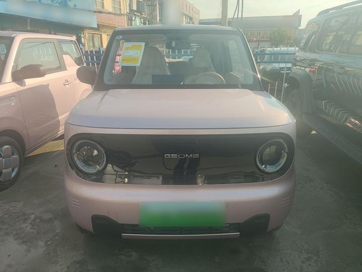 2024 Panda mini 200km Endurance Bear photo 3
